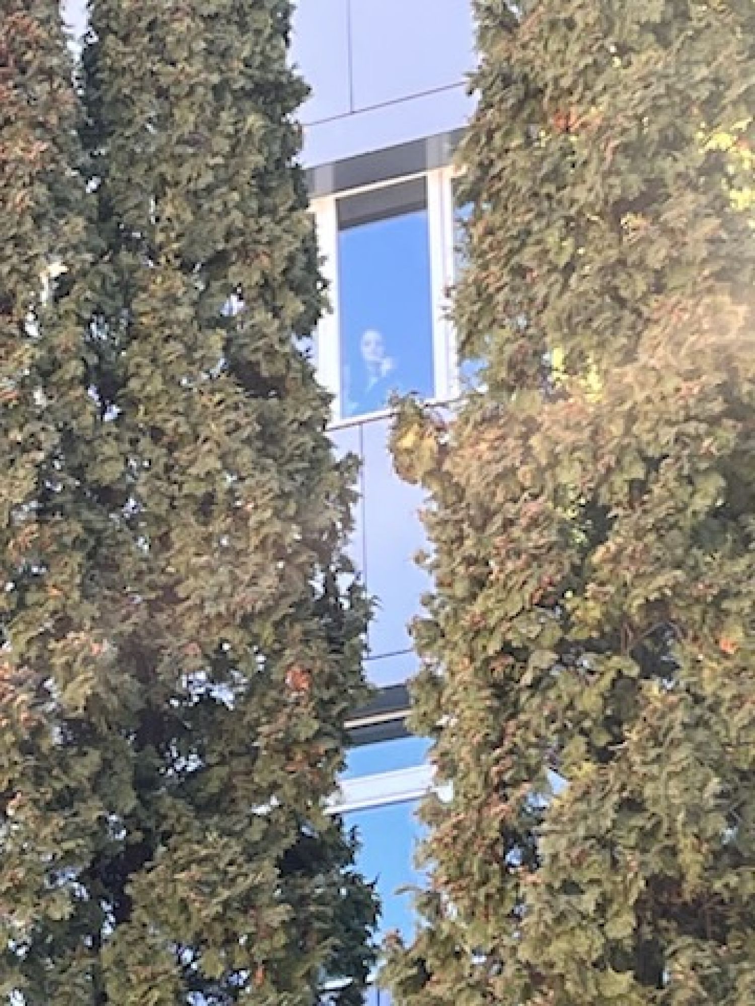 image_2b757a3ffc65c1a06559133362510f83.jpeg